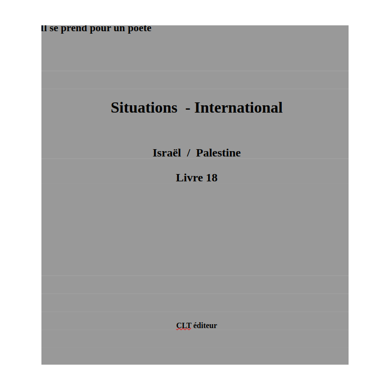Situations Livre 18 - International   - Israël Palestine
