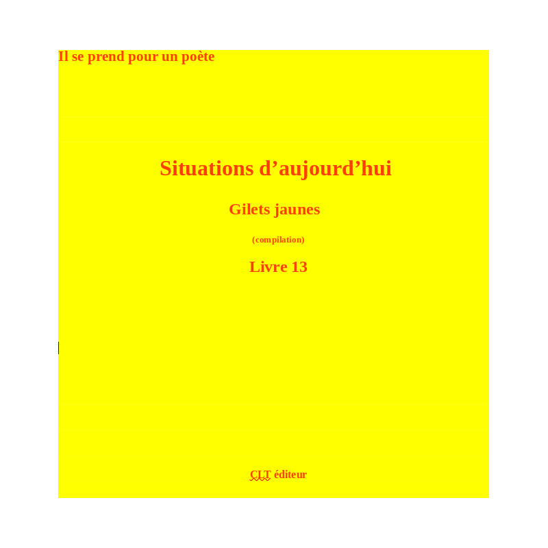 Situations d'aujourd'hui livre 13 Compilation Gilets jaunes